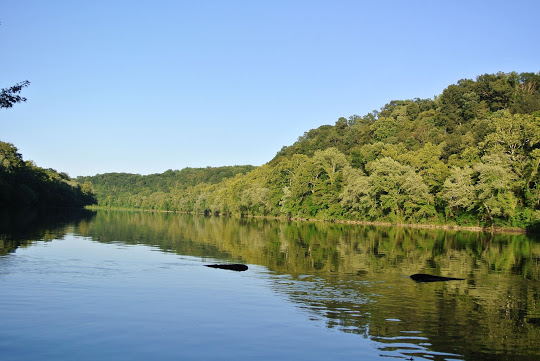 Oh how I’ve missed you so…..