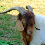 It’s really quiet around here –