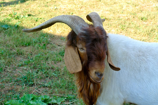 It’s really quiet around here –