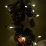 2012 Tree Lighting –