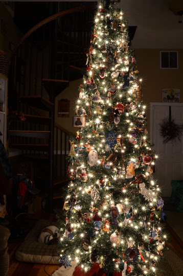 O Christmas Tree…