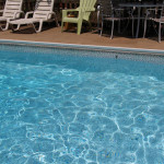 Blue water, palm trees, sunshine!