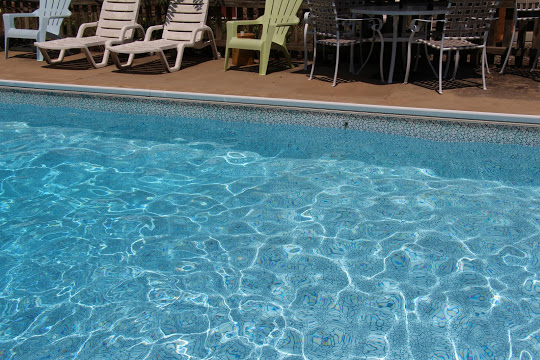 Blue water, palm trees, sunshine!