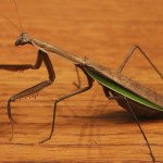 Needing prayers, lol