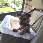 Three Months old….