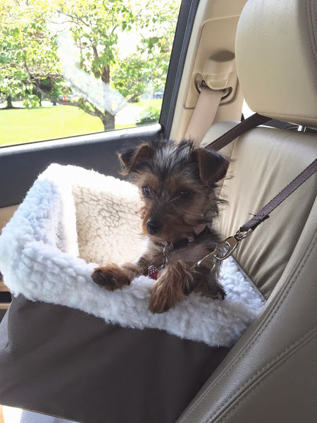 Three Months old….