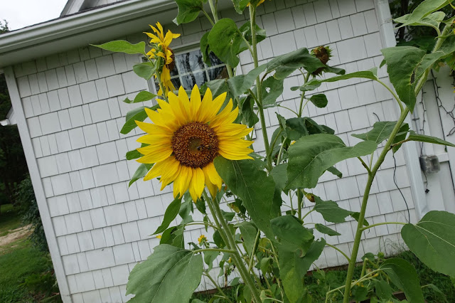 Love me some Yellow… JUST UPDATED @ 10:30 a.m.