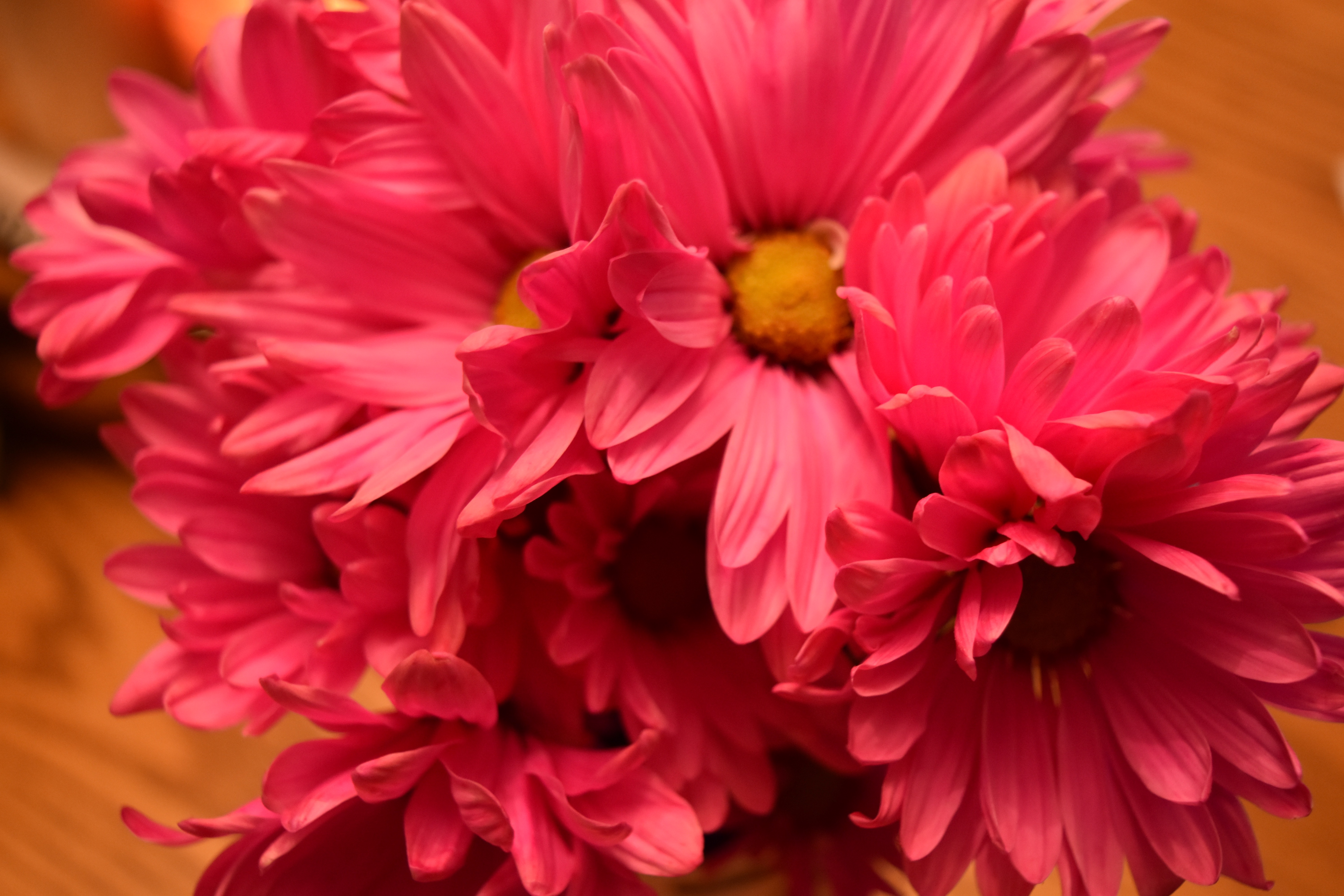 Happy Mother’s Day!