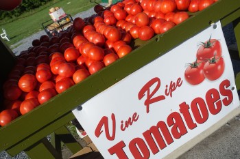 Times have really changed…